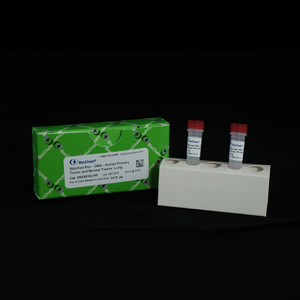 Methylated & Low-Methylated DNA Matched Pair - Human Peripheral Blood Leukocyte