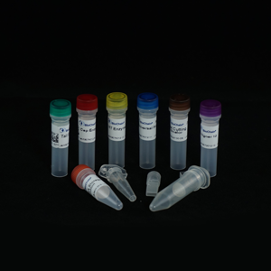 RapidSeq High Yield Small RNA Sample Prep Kit - Without Aligners