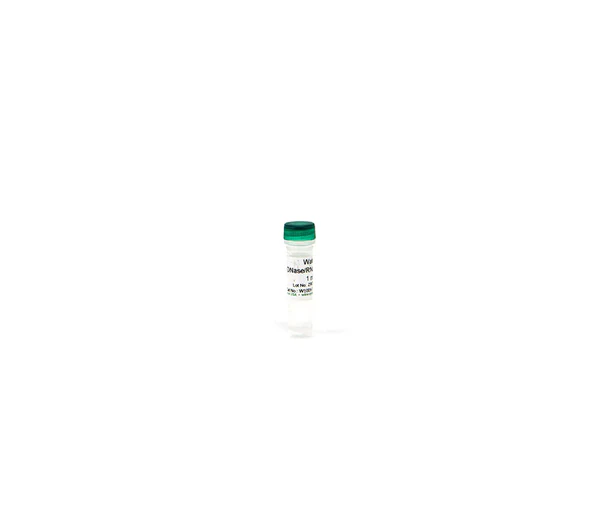DNase/RNase-Free Water