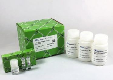 cfPure® Cell Free Nucleic Acid Extraction