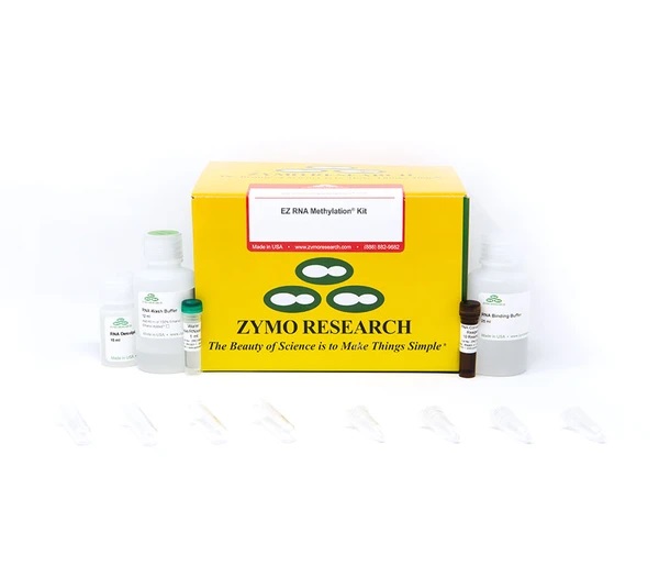 EZ RNA Methylation® Kit