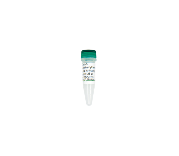Anti-5-hmC(Hydroxymethylcytosine) Polyclonal Antibody